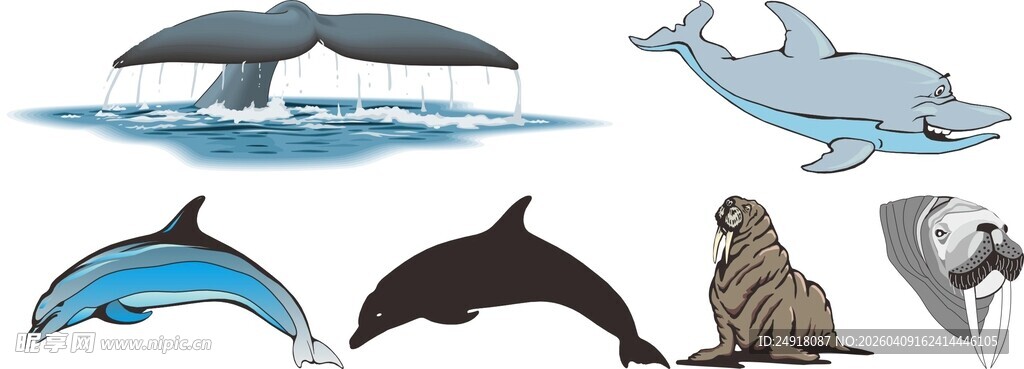 海洋哺乳动物插画集合
