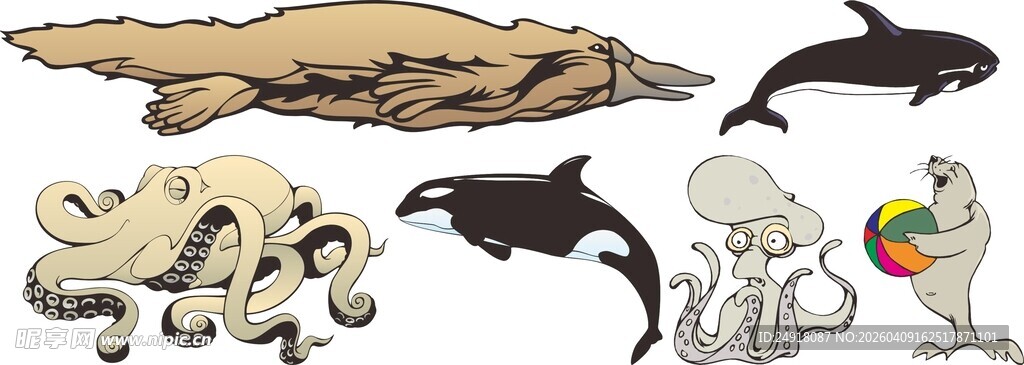 多样海洋动物集合