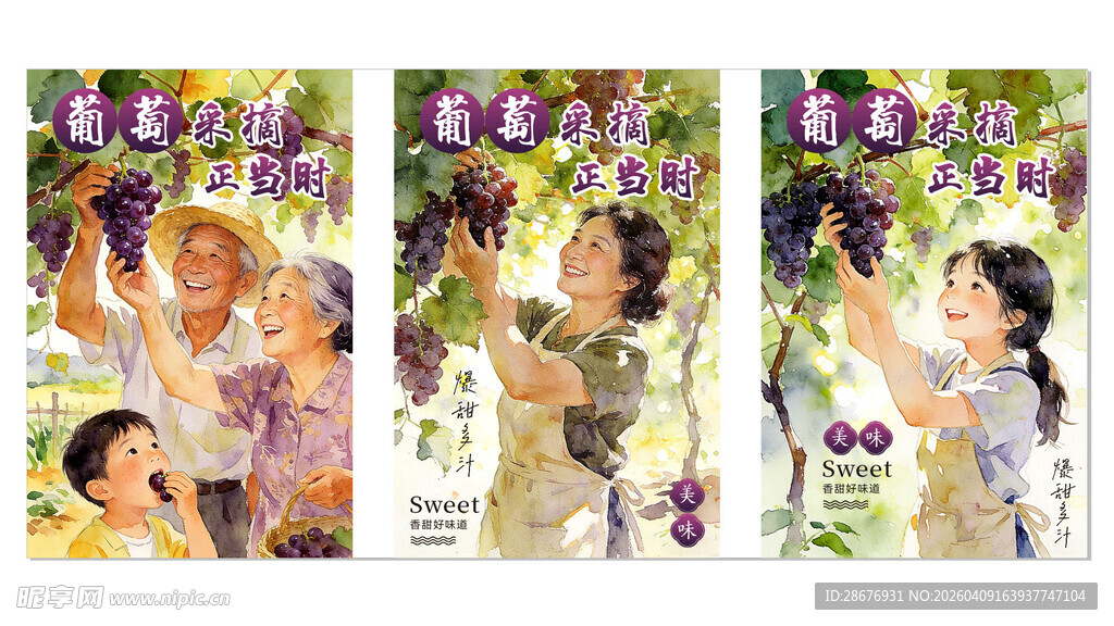 葡萄水彩画海报