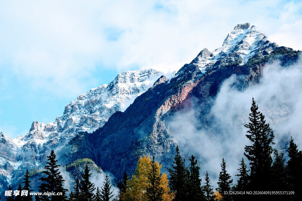雪山云雾下的森林美景