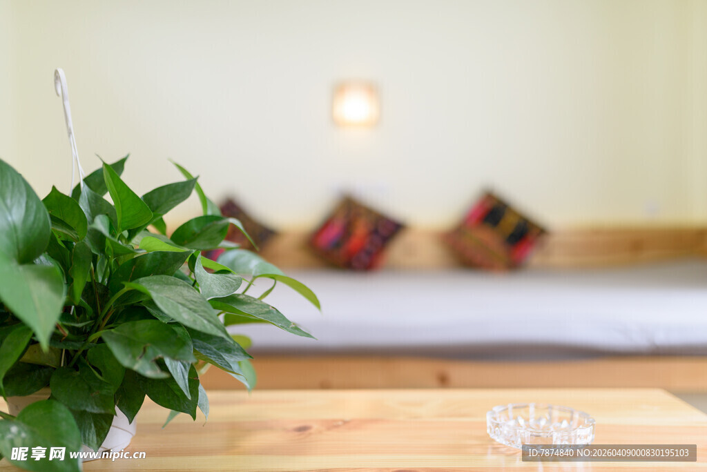 室内绿植与温馨家居一角