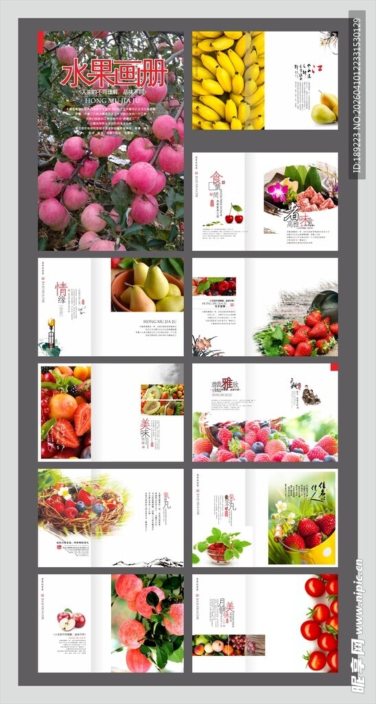 水果画册