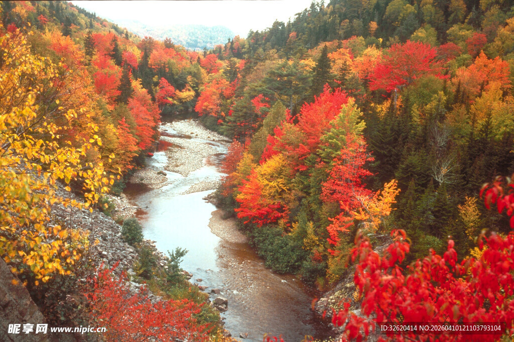 秋日河谷绚烂红叶美景