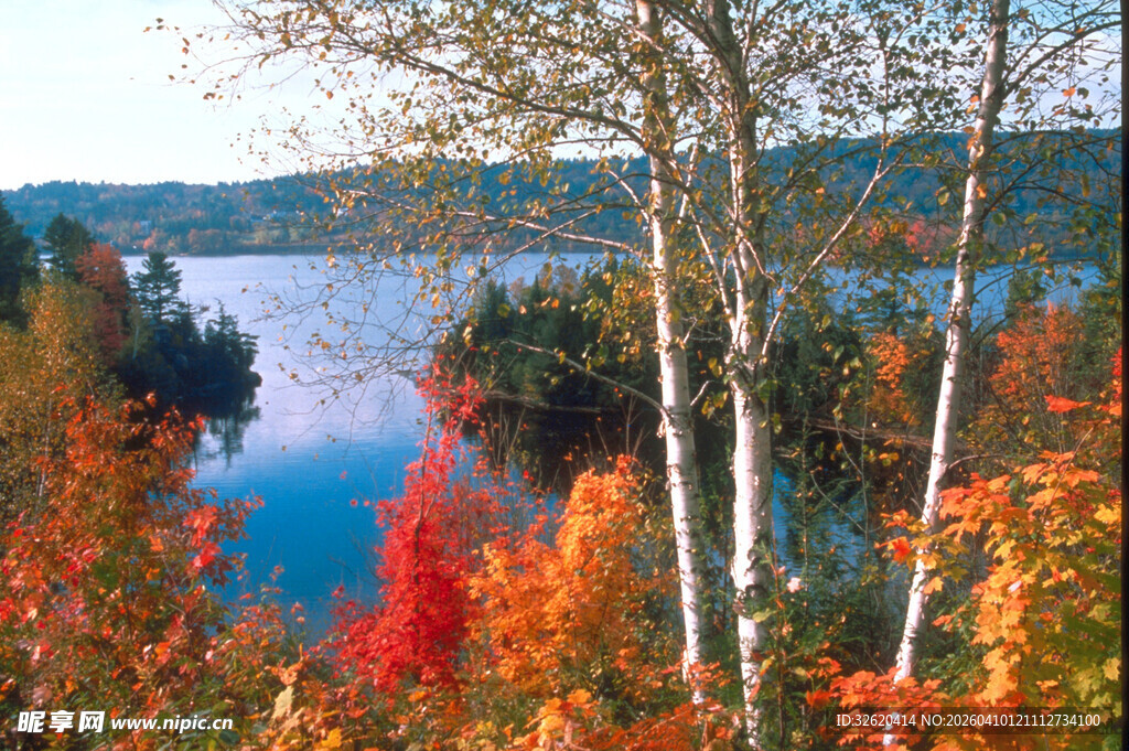秋日湖畔绚烂秋色美景