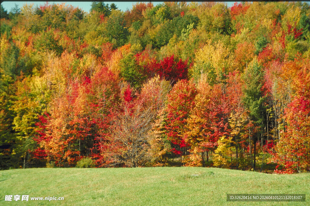 秋日多彩山林美景