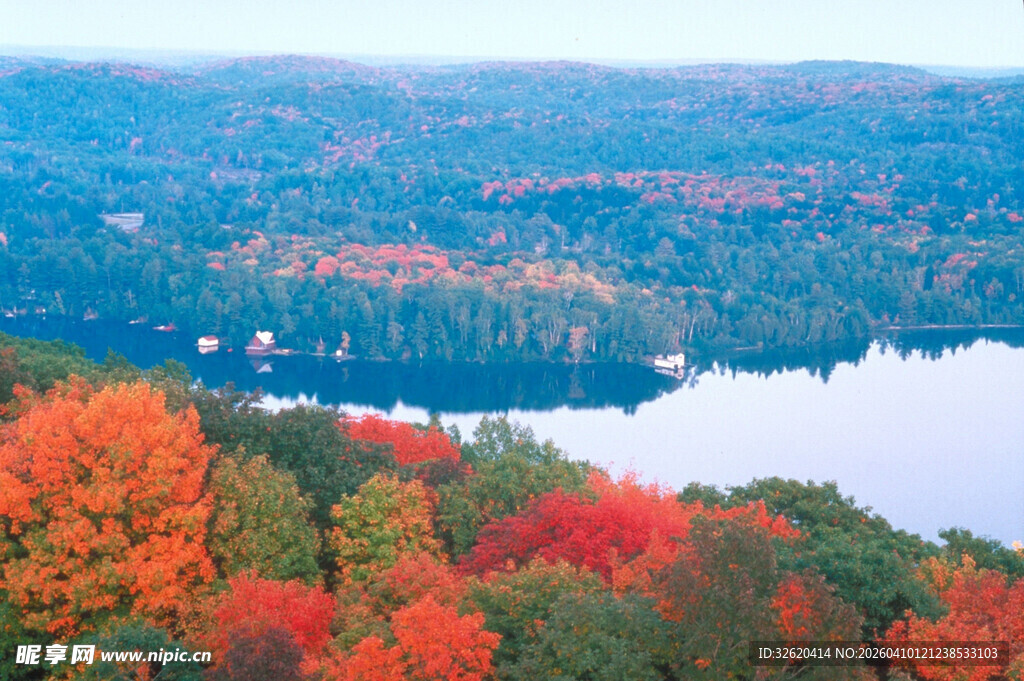 秋日湖畔斑斓红叶美景