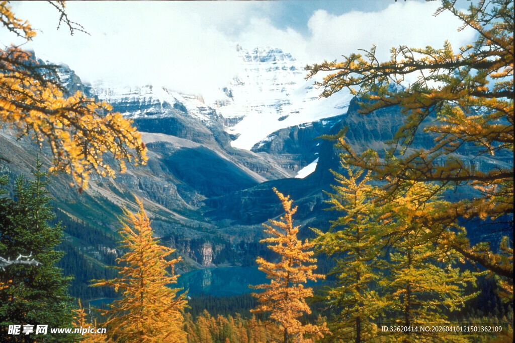 秋日山林间的壮丽雪山景色