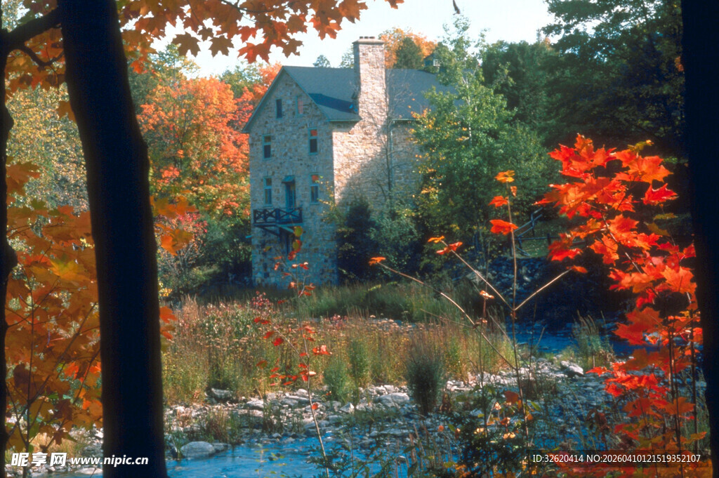 秋日枫林中的静谧小屋