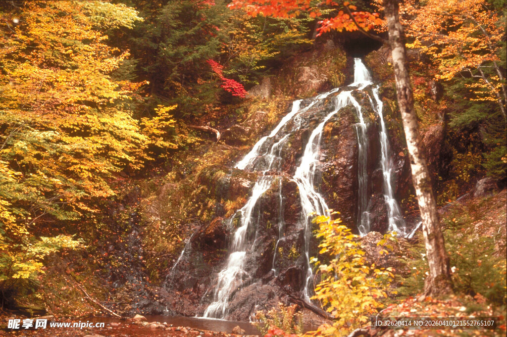 秋日山林中的壮美瀑布