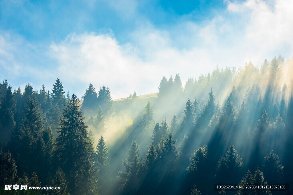 阳光穿透山林的梦幻美景