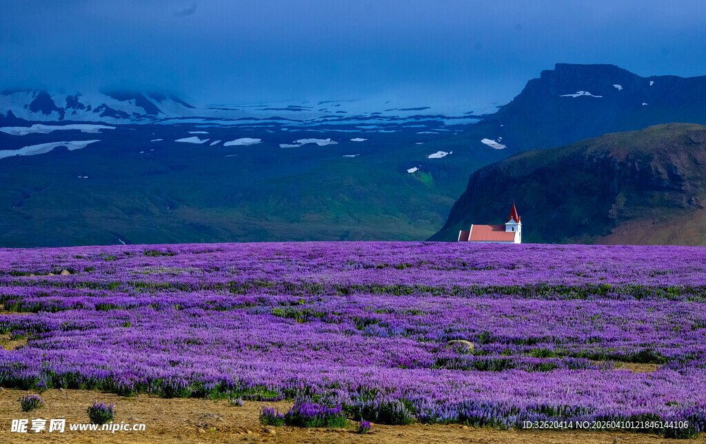 花海中的梦幻小屋