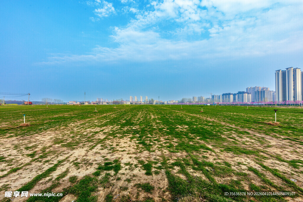 城郊田野风光 远处高楼林立