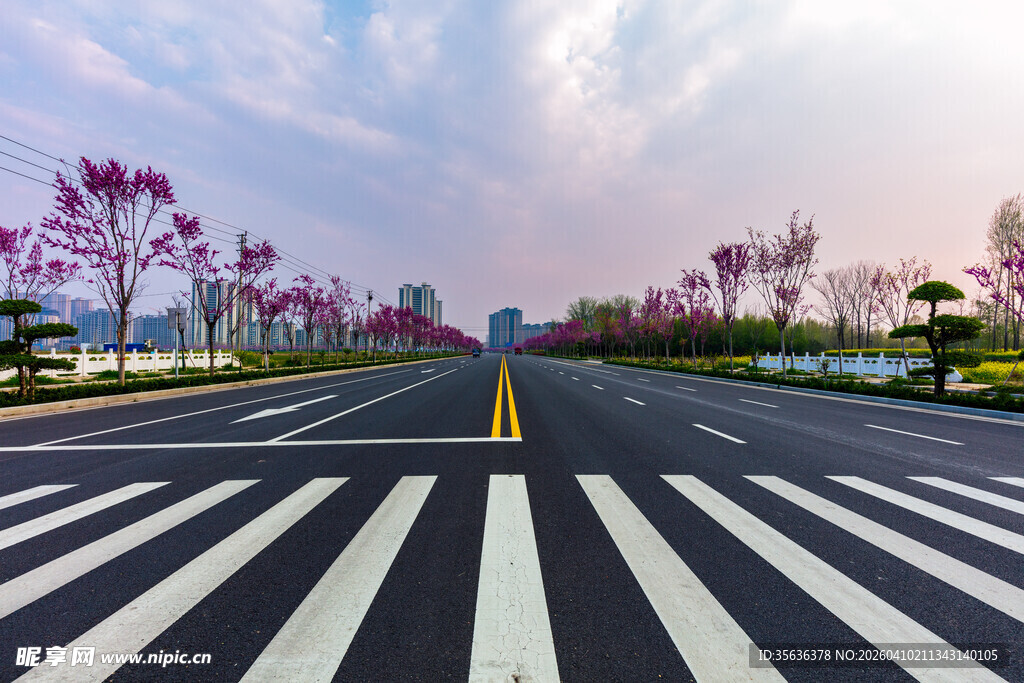 春日繁花盛开的宽阔马路