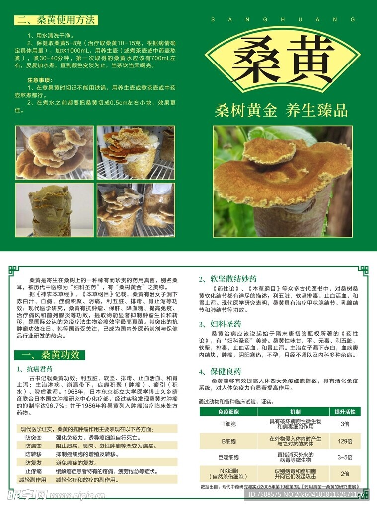 桑黄介绍宣传页