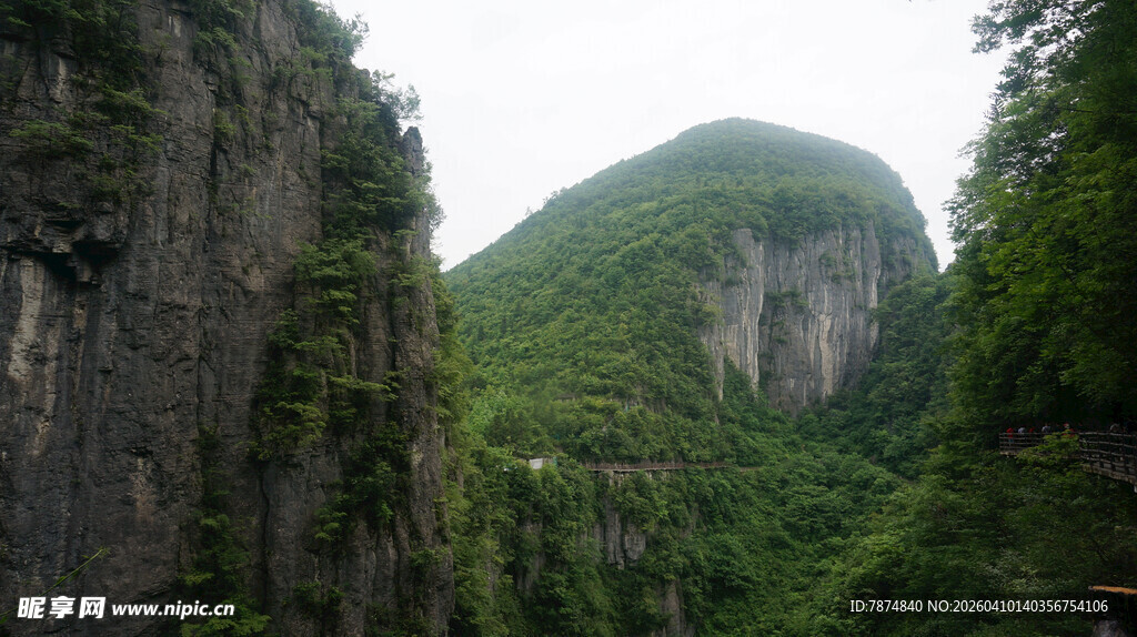 恩施壮丽山景 绿意盎然的峡谷