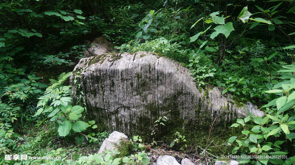 恩施山林间的巨石与繁茂绿植