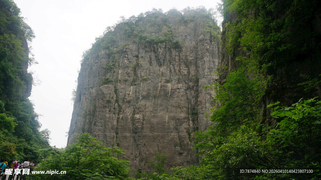 恩施陡峭山壁旁的葱郁植被
