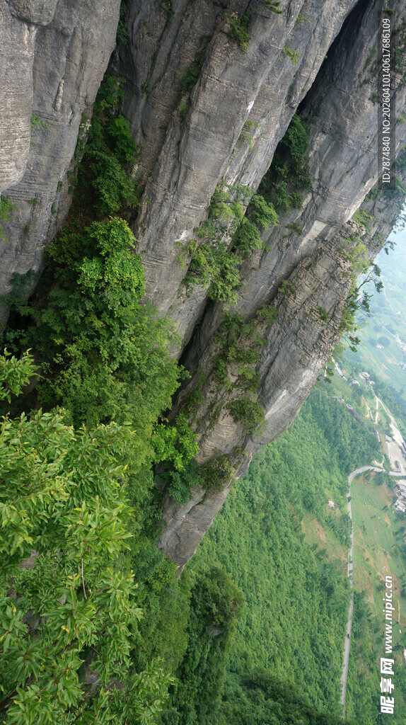 恩施悬崖峭壁上的翠绿植被