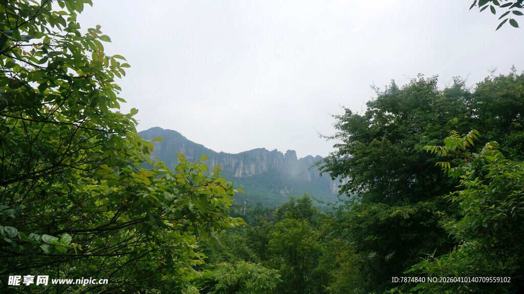 恩施山林绿意景观