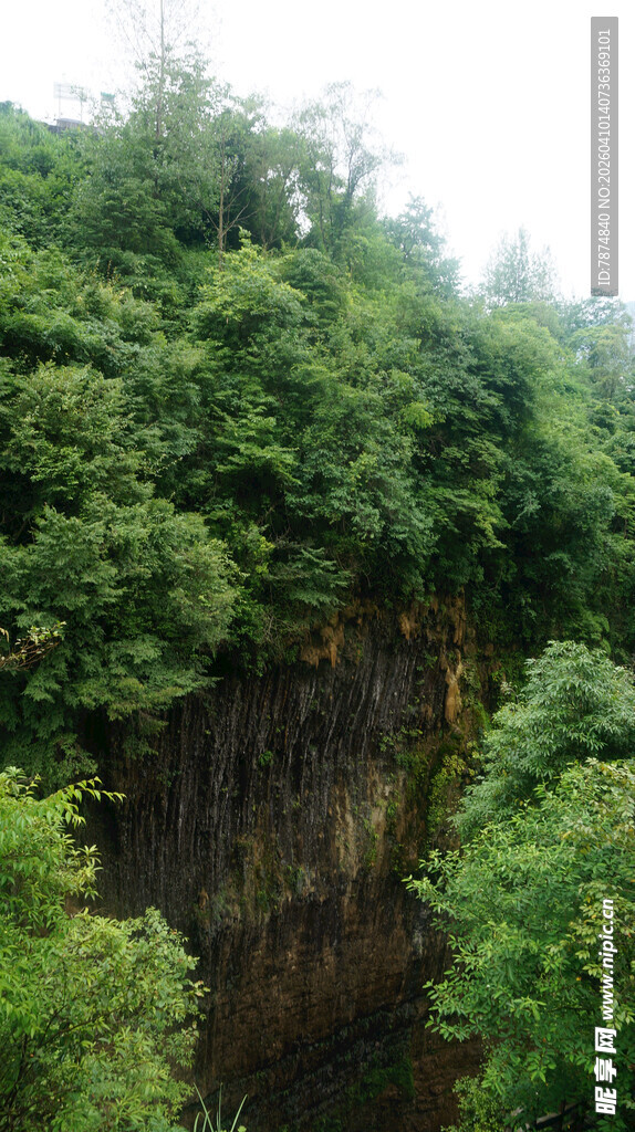 恩施茂密丛林中的深谷景观