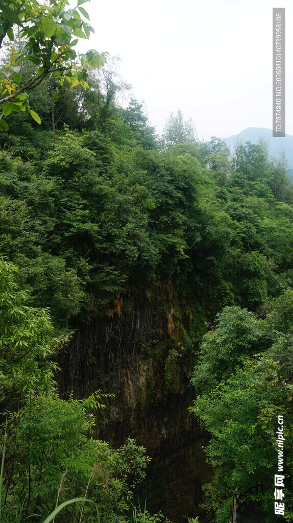 恩施茂密山林中的深邃峡谷
