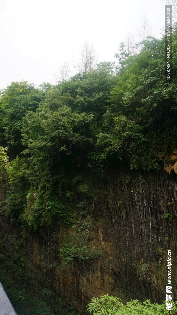 恩施郁郁葱葱的山林景色