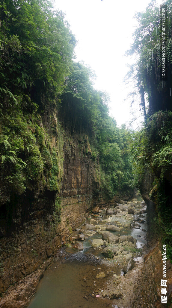 恩施峡谷溪流间的绿意景致