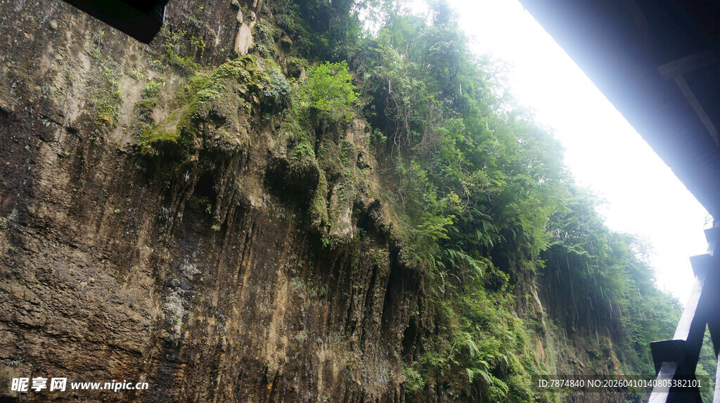 恩施峭壁绿植景观