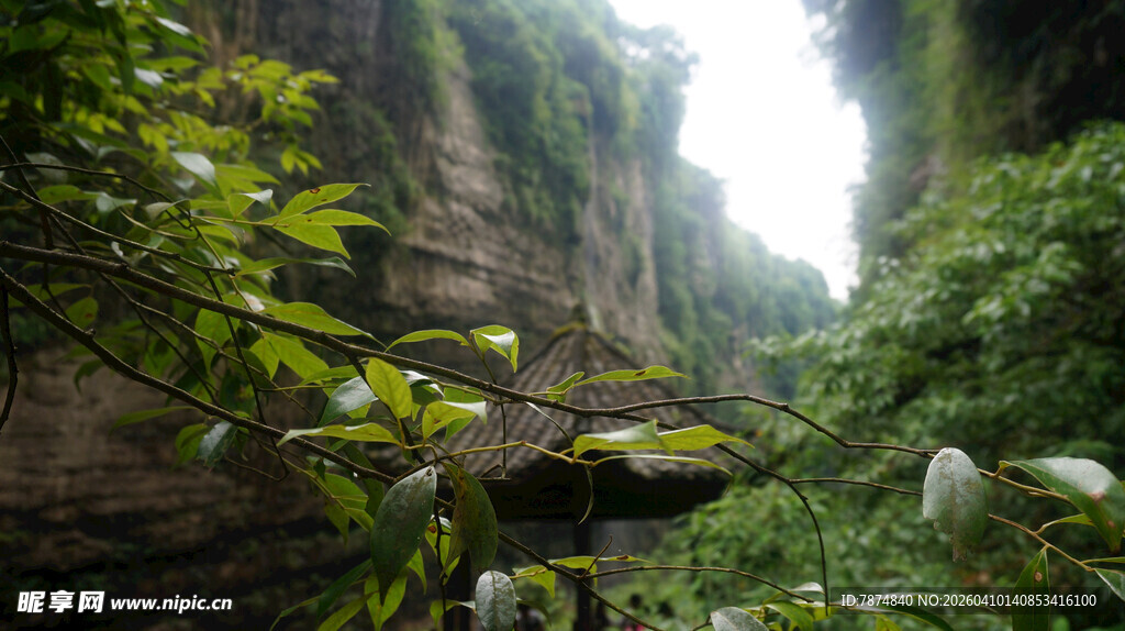恩施峡谷丛林绿意盎然