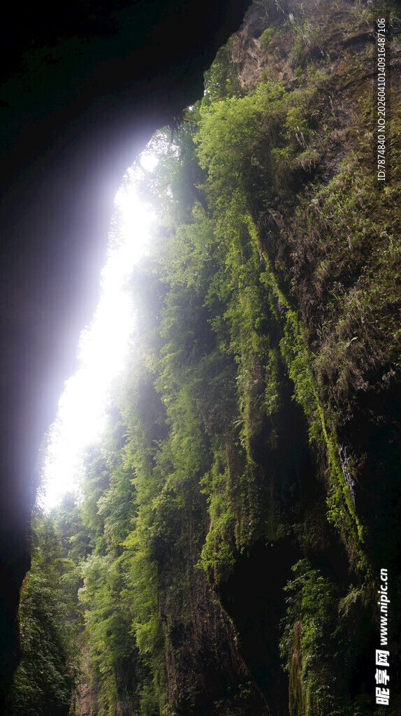 恩施阳光洒落绿意盎然的峡谷