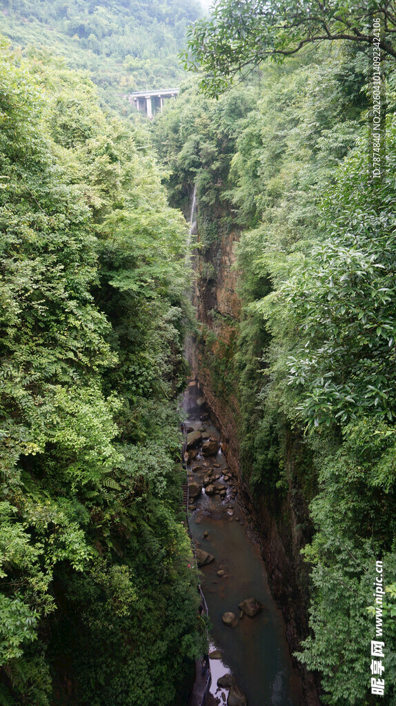 恩施峡谷间繁茂绿意景观
