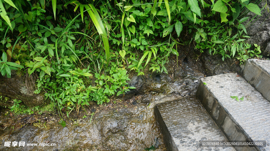 恩施石阶旁的潺潺溪流与绿植