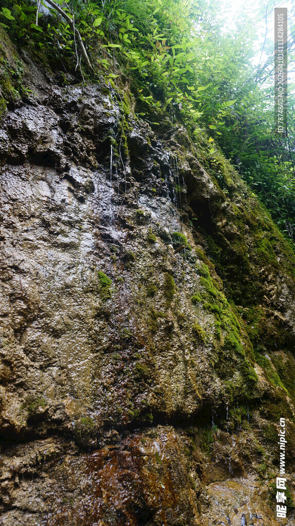 恩施岩壁上的绿意生机