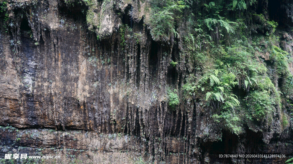 恩施崖壁绿植景观