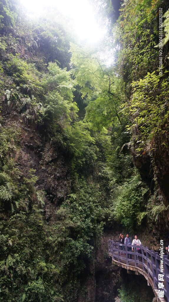 恩施山间栈道穿行于繁茂绿意中