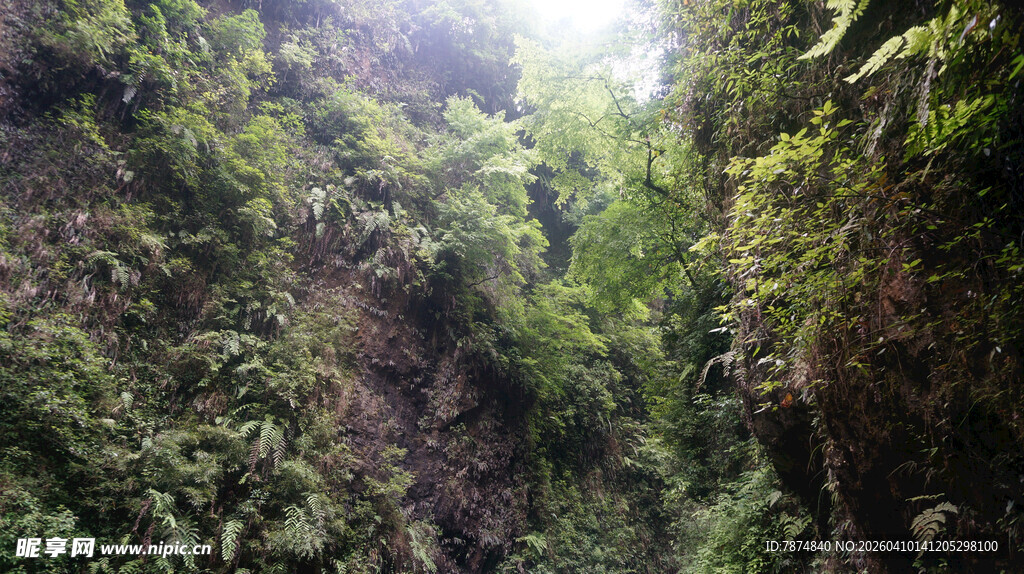 恩施峡谷绿意盎然的自然景致