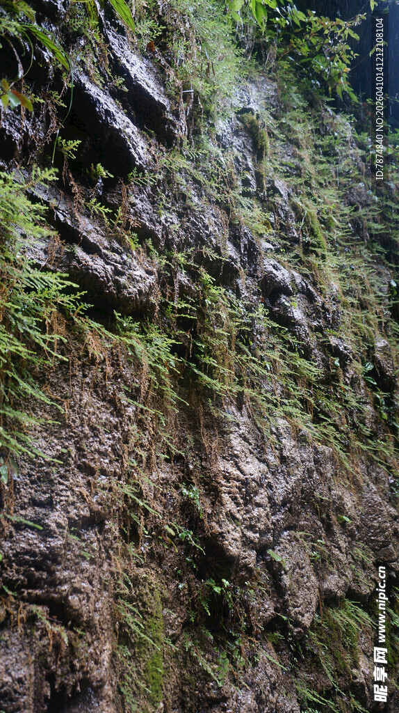 恩施陡峭岩壁上的绿色生机