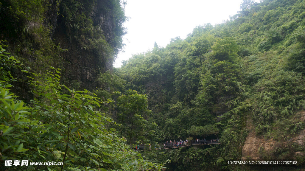 恩施山间葱郁绿植景观