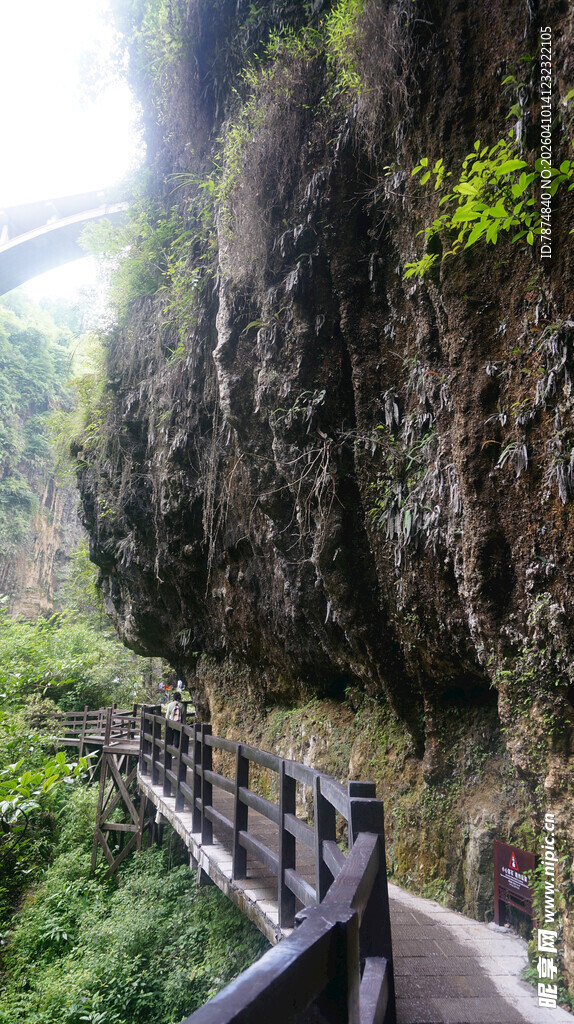 恩施山间栈道蜿蜒于峭壁之下