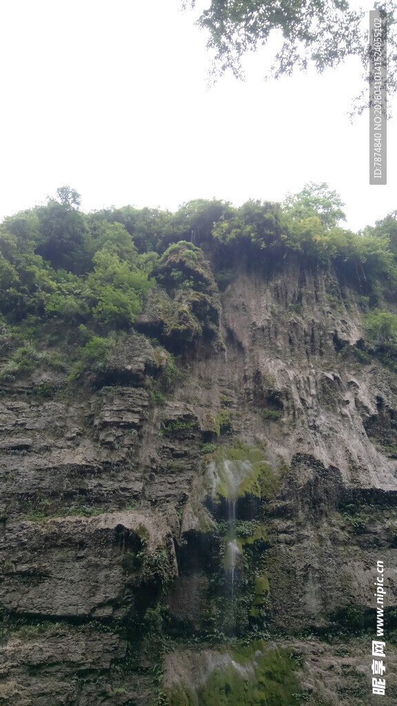 恩施陡峭岩壁上的繁茂植被