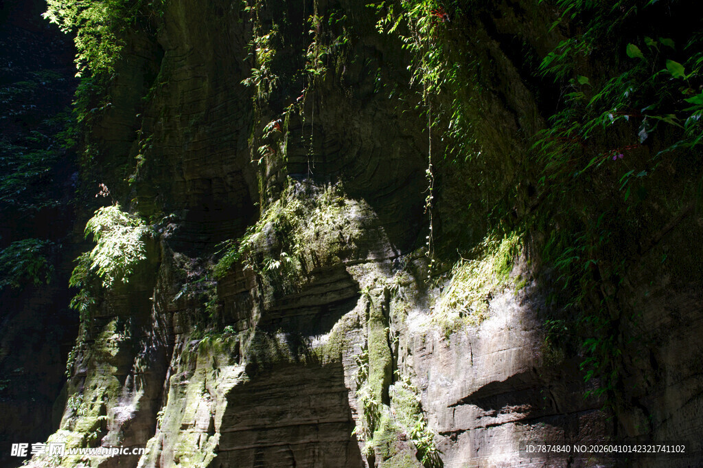 恩施山间绿荫下的隐秘石阶