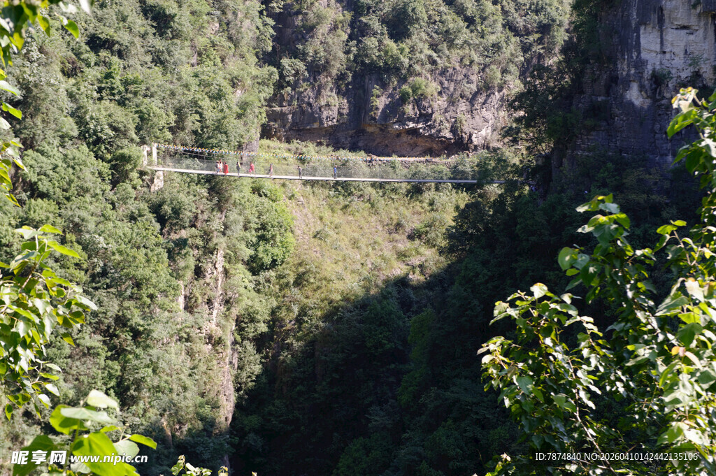 恩施山间悬崖旁的绿意景观