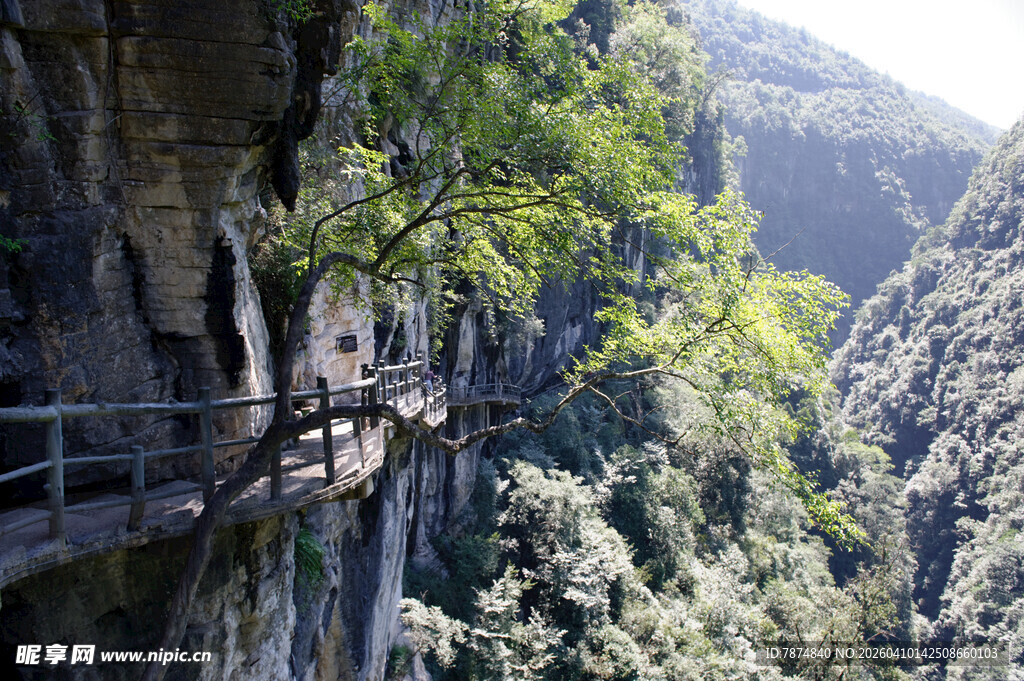 恩施悬崖栈道穿梭于青山绿树间