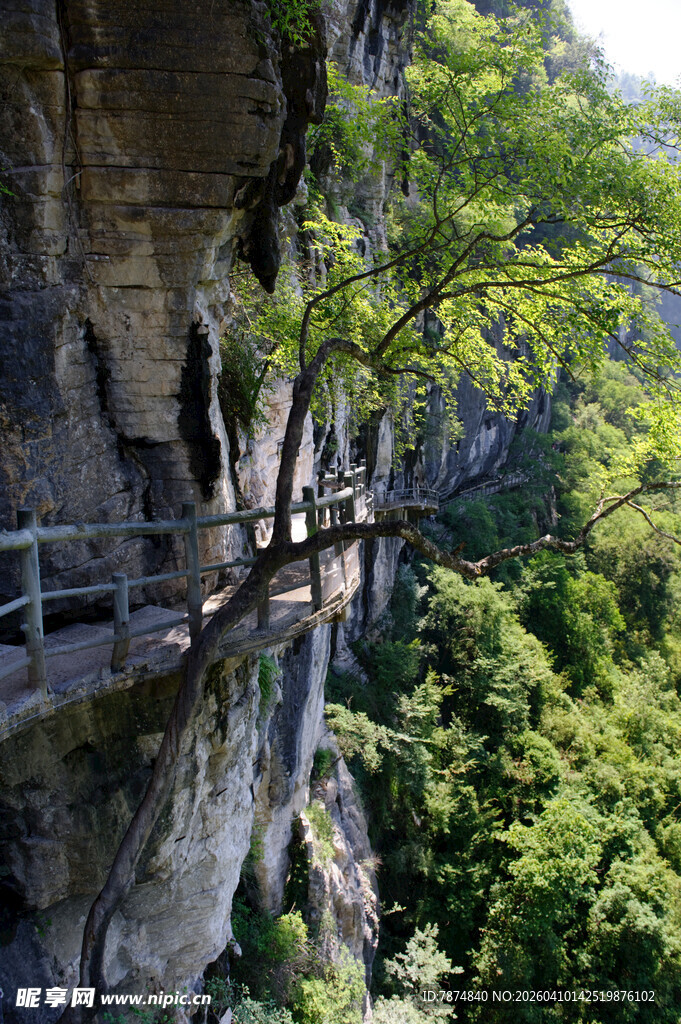 恩施悬崖栈道 穿梭绿意之间
