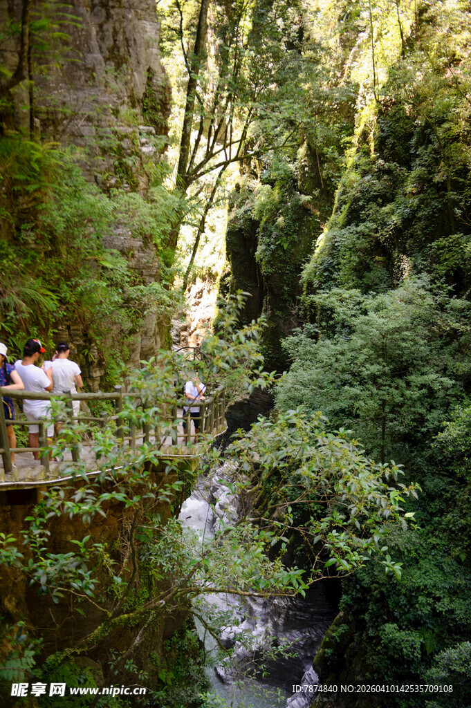 恩施森林中的木桥与游人