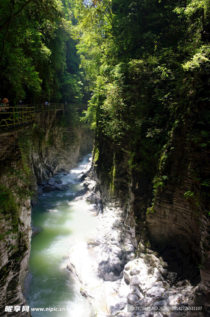 恩施山间溪流穿林而过