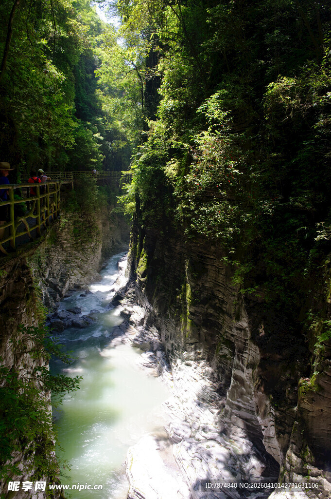 恩施山间幽美溪流与茂密植被