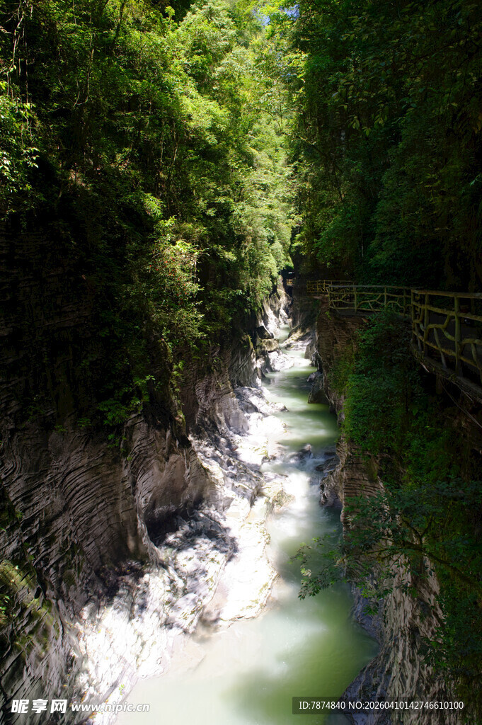恩施山间溪流 绿意盎然的景致