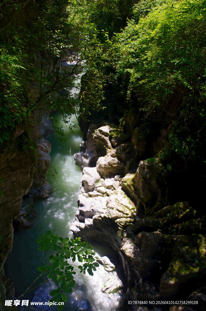 恩施山间溪流穿林而过