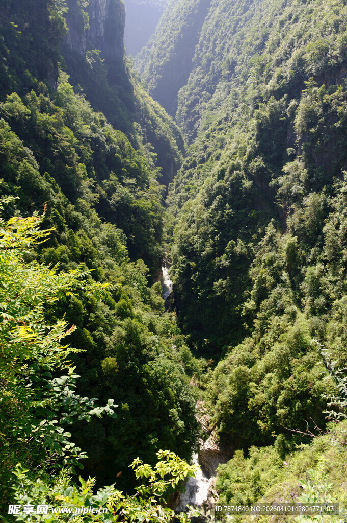 恩施山间幽谷绿意盎然的景致